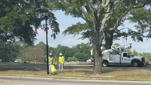 Crews from Duke Energy begin the process of converting the current lighting around Hamlet City Lake to LED lighting on Tuesday.