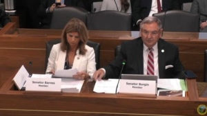 en. Jim Burgin and Sen. Lisa Barnes, R-Johnston in committee meeting.