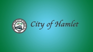 3 vie for empty Hamlet City Council seat