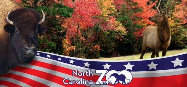North Carolina Zoo offers Military Appreciation Week in Honor of Veteran&#039;s Day