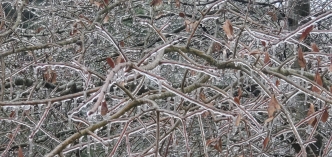 Winter storm knocks out power in Richmond County