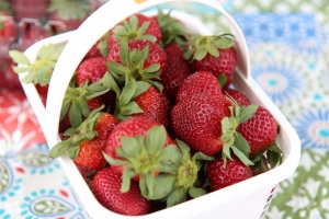 2022 N.C. strawberry season underway