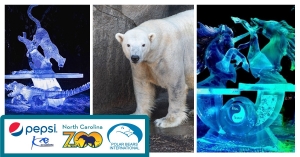 North Carolina Zoo presenting livestream ice carving challenge