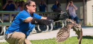North Carolina Zoo celebrates 20 years of the Wildlife Rehabilitation Center
