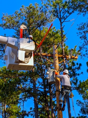 The Electrical Lineman program at Richmond Community College was used as an examble by college President Dr. Dale McInnis as a model for short-term training programs.