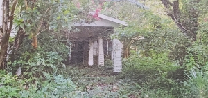 A photo included in the Rockingham City Council agenda packet shows a dilapidated home on Brookwood Avenue.