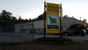 Richmond County Animal Shelter fined by state