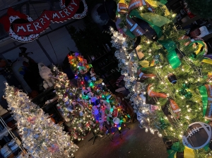 Richmond County Hospice auctioning trees, decor in Christmas-themed fundraiser