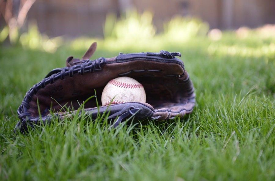 Hamlet Council approves bringing back rec baseball
