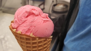 Proceeds for the Berry Patch&#039;s pink vanilla ice cream this year will go to Crystal Norton of Norton Farms.