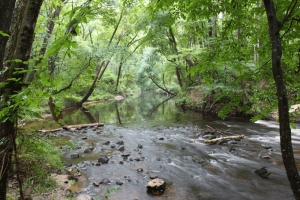Hitchcock Creek.