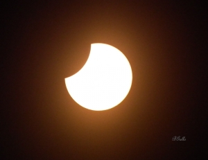 The solar eclipse, taken by Betty McIntyre.