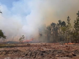 More than 6 acres burned in wildfire near Plastek
